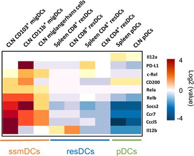 Tolerogenic Transcriptional Signatures of Steady-State and Pathogen-Induced Dendritic Cells